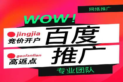 SEM服务托管实战案例：数据驱动营销